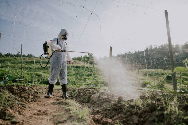 Best Commercial Pest Control Services  in Hermitage, PA