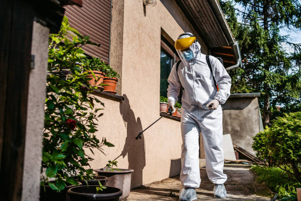 Reliable Hermitage, PA Pest Control Solutions