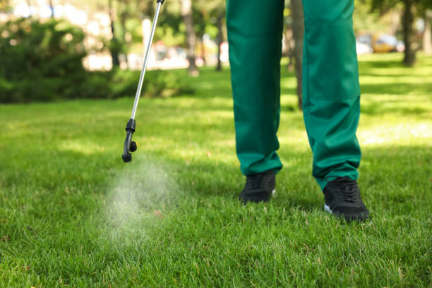 Best Pest Removal Services  in Hermitage, PA