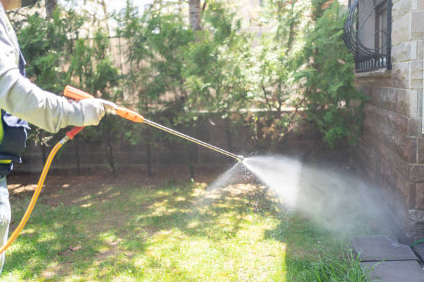 Best Wasp Removal Services  in Hermitage, PA