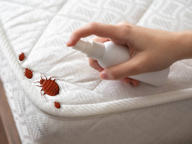 Best Affordable Pest Control Services  in Hermitage, PA